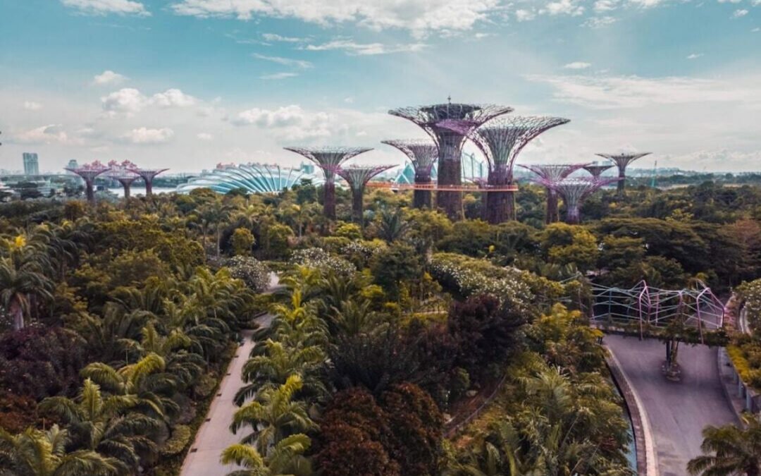 ASEAN: CRECIMIENTO DE EXPORTACIONES