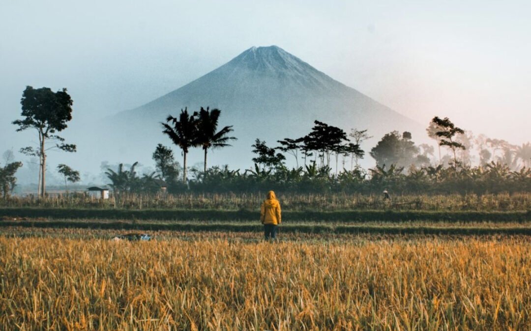 INDONESIA: RATIFICACIÓN ACUERDO RCEP