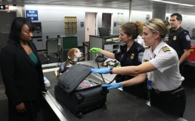 REGISTRO Y GESTIÓN DE LAS AUTORIZACIONES DE DESPACHO ADUANERO